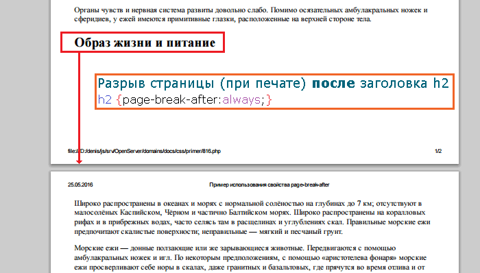 Пример использования свойства page-break-before(определяет наличие или отсутствие разрыва страницы после заданного элемента при печати документа).