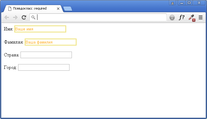 Пример использования псевдокласса :required.