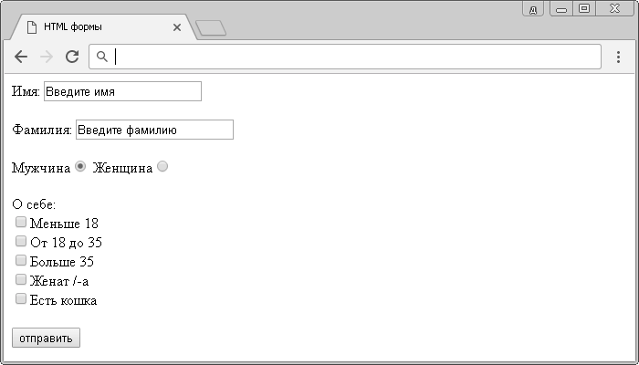 Рис 32 HTML формы.